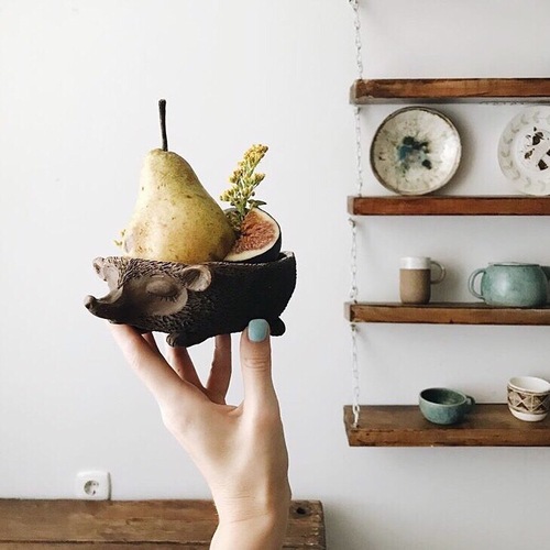 Ёжик (миска) 14+ фото 4